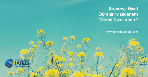 Bioenerji Nasıl Öğrenilir Bioenerji Eğitimi Nasıl Alınır