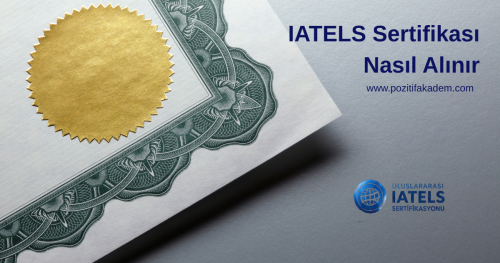IATELS Sertifikası Nasıl Alınır