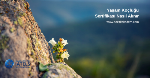 Yaşam Koçluğu Sertifikası Nasıl Alınır