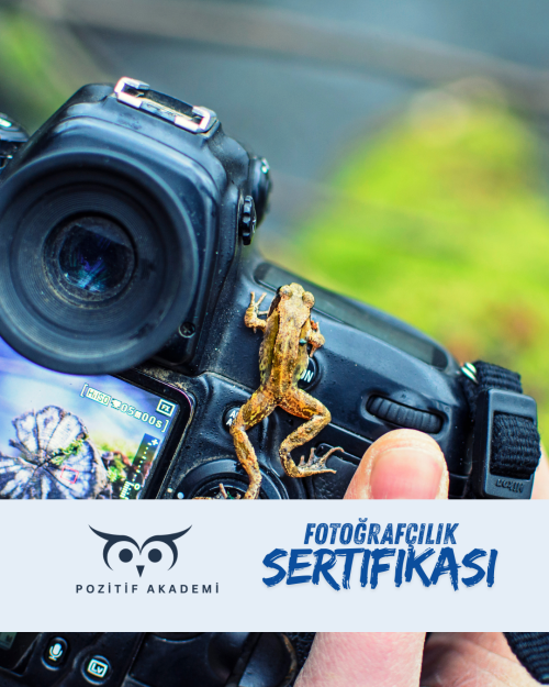 fotoğrafçılık eğitimleri hakkında