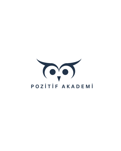 Pozitif Akademi Nedir