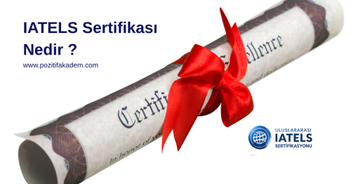 IATELS Sertifikası Nedir